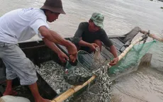 Tình hình đánh bắt thủy sản tại ĐBSCL gặp nhiều thuận lợi