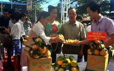 Đẩy mạnh hợp tác tiêu thụ nông sản an toàn giữa tỉnh Hòa Bình và Hà Nội
