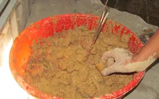 Quảng Bình: Phát hiện hơn 150 bộ hài cốt quanh vườn