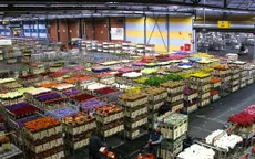 Đến thăm sàn đấu giá hoa Amsterdam, Hà Lan