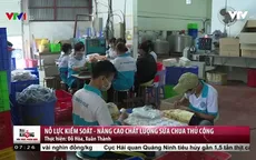 Băn khoăn về sữa chua tự làm có chất bảo quản?