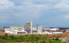 Bột màu trắng từ Nhà máy Alumin Nhân Cơ phủ đầy cây trồng của người dân