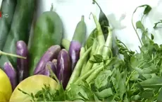Hỗ trợ thanh niên nông thôn khởi nghiệp nông nghiệp sạch
