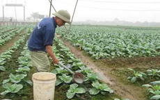 Tháng Hành động về An toàn vệ sinh lao động sẽ diễn ra từ 1 - 31/5