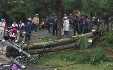 Trụ điện gãy đổ khiến 2 mẹ con tử vong