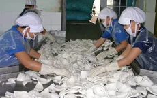 Dự án chế biến nông sản có thể được hỗ trợ 70% kinh phí