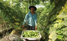 Chuyển đổi hướng sản xuất nông nghiệp ở Tây Ninh