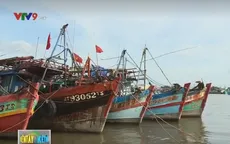 Cà Mau họp trực tuyến với 9 địa phương về ứng phó áp thấp nhiệt đới