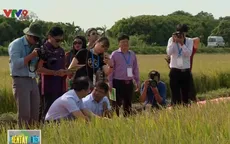 Cơ hội tăng cường hợp tác nông nghiệp trong khối APEC
