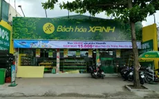 “Bành trướng” nhanh chóng, Bách hóa Xanh tuyển hàng trăm nhân viên mỗi tháng