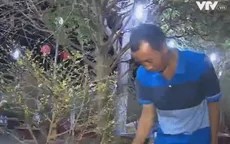 Nỗi niềm của những nhà vườn mang hoa ra phố