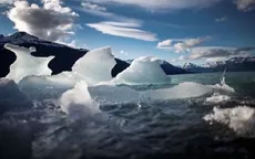 Hơn 15.000 nhà khoa học gửi thư cảnh báo viễn cảnh tuyệt diệt của Trái đất