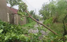 Nghệ An thiệt hại nặng nề do bão số 2