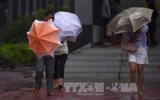 Bão Pakhar đổ bộ Trung Quốc, 3 người bị thương