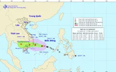 Thông tin mới nhất về cơn bão số 14