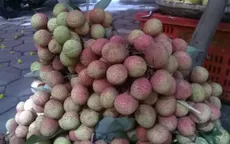 Bắc Giang bảo quản vải bằng màng bao gói khí quyển biến đổi