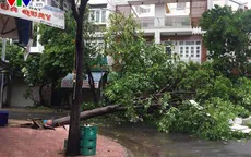 37 người thiệt mạng và mất tích do bão số 12