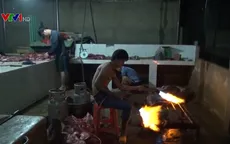 Bắt cơ sở phù phép lợn nái thành lợn rừng