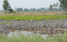 Bắt nguyên Phó Giám đốc Sở NN&PTNT Bến Tre