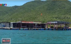 Còn nhiều lúng túng trong xử lý bè nổi tại Khánh Hòa