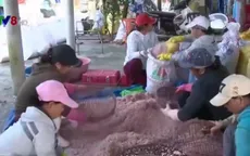 Hậu phương vững chắc của nghề biển
