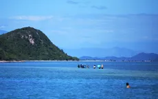 Khánh Hòa tìm mô hình mới để phát triển hệ sinh thái biển Rạn Trào