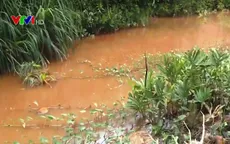Bình Dương: Nước kênh chuyển màu đỏ bất thường