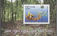 Phát hành bộ tem đặc biệt “Sâm Ngọc Linh (Sâm Việt Nam)” tại Quảng Nam