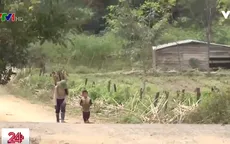 Nóng tình trạng trẻ em bị dụ dỗ bỏ học đi làm thuê xa