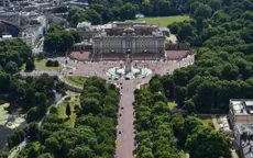 Tấn công bằng dao bên ngoài điện Buckingham, Anh