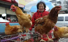 Giá thịt gà "gặp họa" vì dịch cúm H7N9