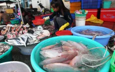 Nhiều mẫu thịt, hải sản nhiễm vi khuẩn kháng kháng sinh