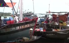 Xây dựng cảng cá Tam Quang (Quảng Nam): Nhiều lo lắng về môi trường