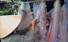 Nhộn nhịp mùa cá ra tại Đồng Tháp