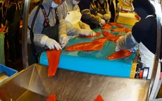 Dịch vụ mổ cá thuê nở rộ ở Alaska