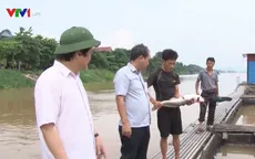 Thủy điện Hòa Bình xả lũ, dân nuôi cá Phú Thọ thiệt hại nặng