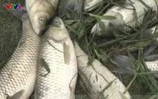 Nghệ An hỗ trợ người dân thiệt hại do vỡ đập chứa bùn thải