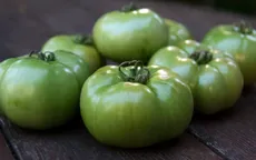 Những loại thực phẩm trở nên độc hại nếu không được sử dụng đúng cách