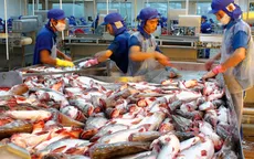 Yêu cầu mới với cá da trơn xuất khẩu