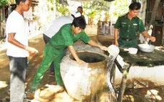 Số ca sốt xuất huyết ở Cà Mau tăng 74% so với cùng kỳ