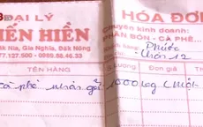 Nông dân khốn khổ vì DN thu mua cà phê không trả tiền