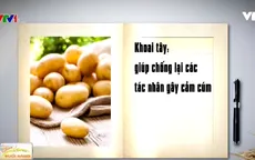 Những thực phẩm phòng chống cảm cúm
