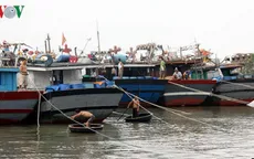 Bình Thuận, TP.HCM cấm tàu thuyền ra khơi