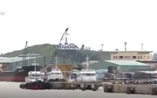 Bình Định yêu cầu khai thông luồng cảng giải phóng gỗ dồn ứ