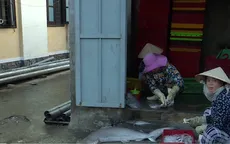 Khánh Hòa: Ngư dân bỏ cảng lớn, lập bến tự phát