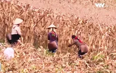 Phát triển bền vững khu định canh định cư