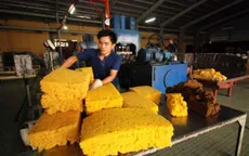 Hơn 50% cao su xuất khẩu của Việt Nam xuất sang Trung Quốc trong tháng 5