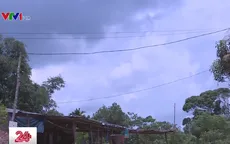 Hơn 160.000 hộ dân vùng núi, nông thôn, hải đảo được cấp điện mới