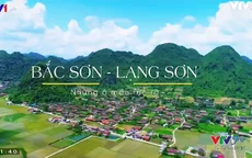 VTVTrip: Ngợp giữa những ô ruộng rực rỡ sắc màu ở Bắc Sơn