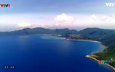 VTVTrip: Đến hòn Bảy Cạnh, Côn Đảo xem rùa biển đẻ trứng